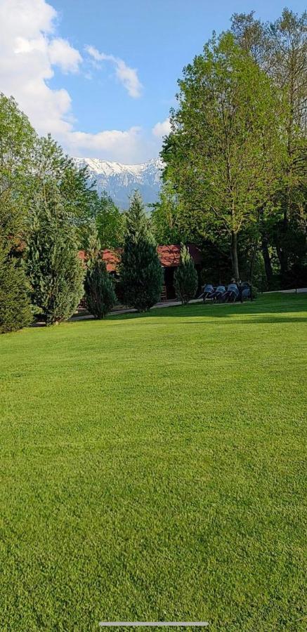 מלון בראן Garden Retreat Junior (Adults Only) מראה חיצוני תמונה
